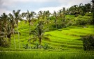 Indonēzija | Bali